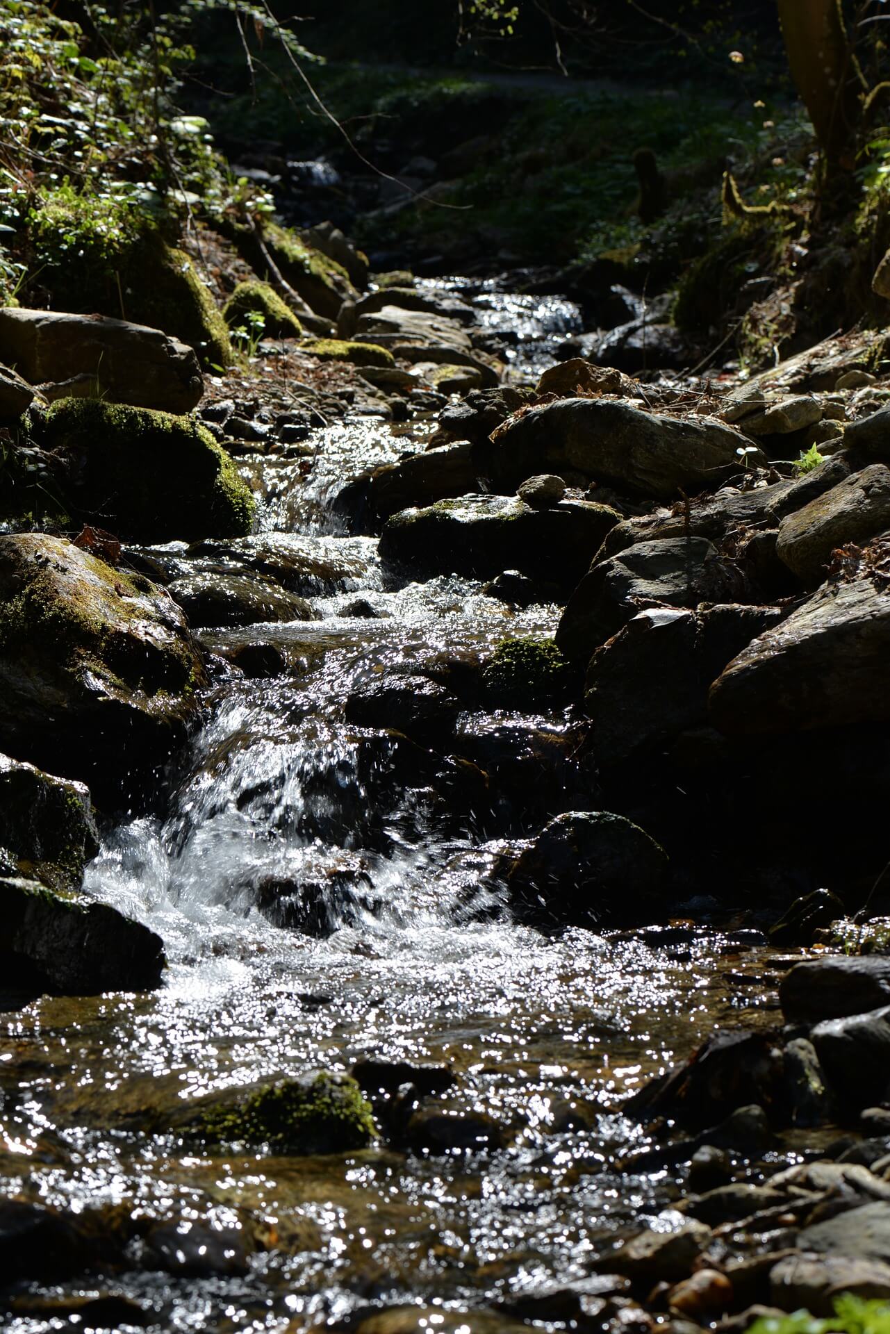 Wasser fließt durch Bach